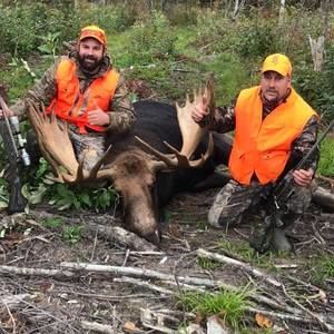 Meet your Posher, Daniel paul